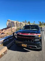 Photo contest thumbnail