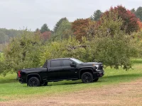 Photo contest thumbnail