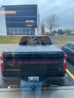 new truck.webp