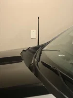 Antenna1.webp