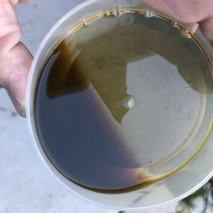 oil.jpg