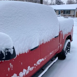 SnowDay.jpeg
