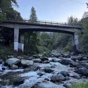 IMG_7672 2.webp