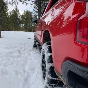 InSnow.jpeg