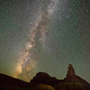 unspecified (2).webp