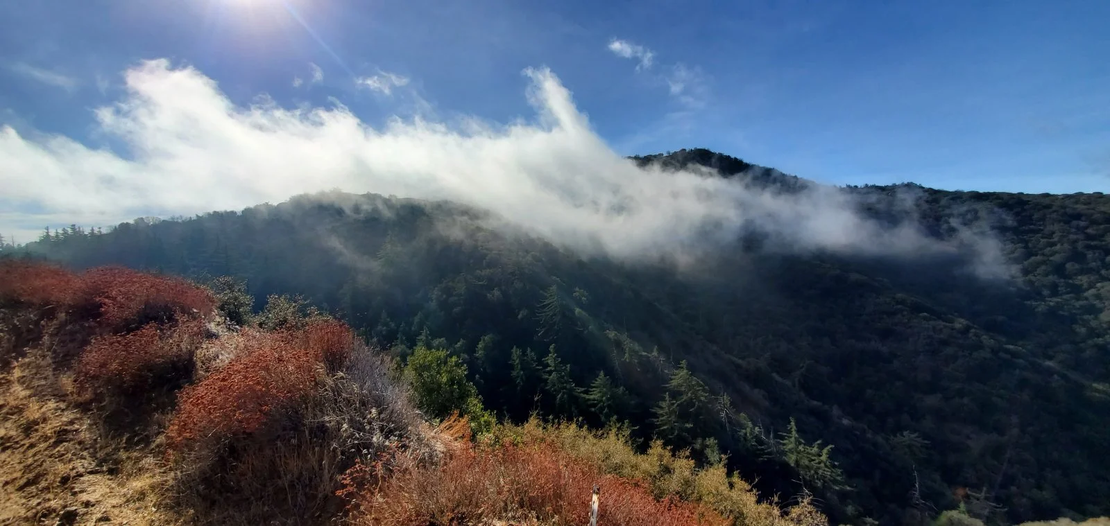 20201212_105545.jpg