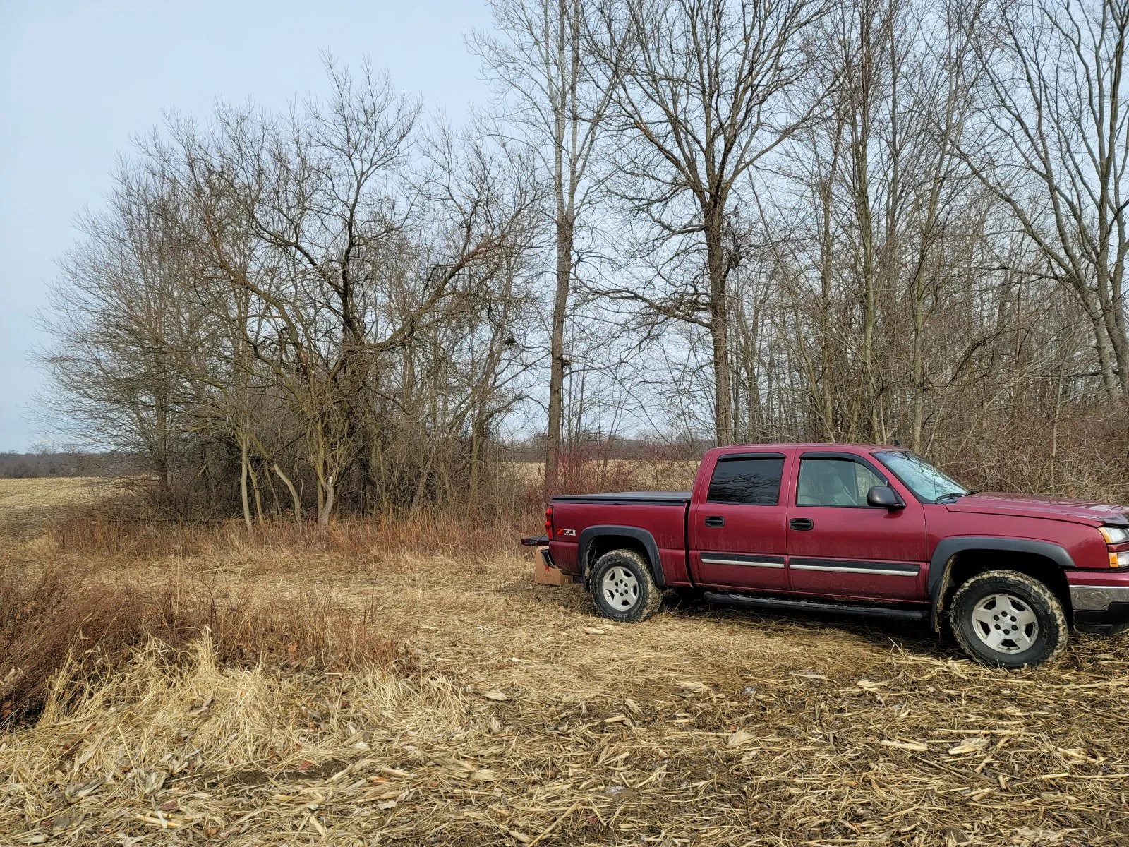 20201229_125309.jpg