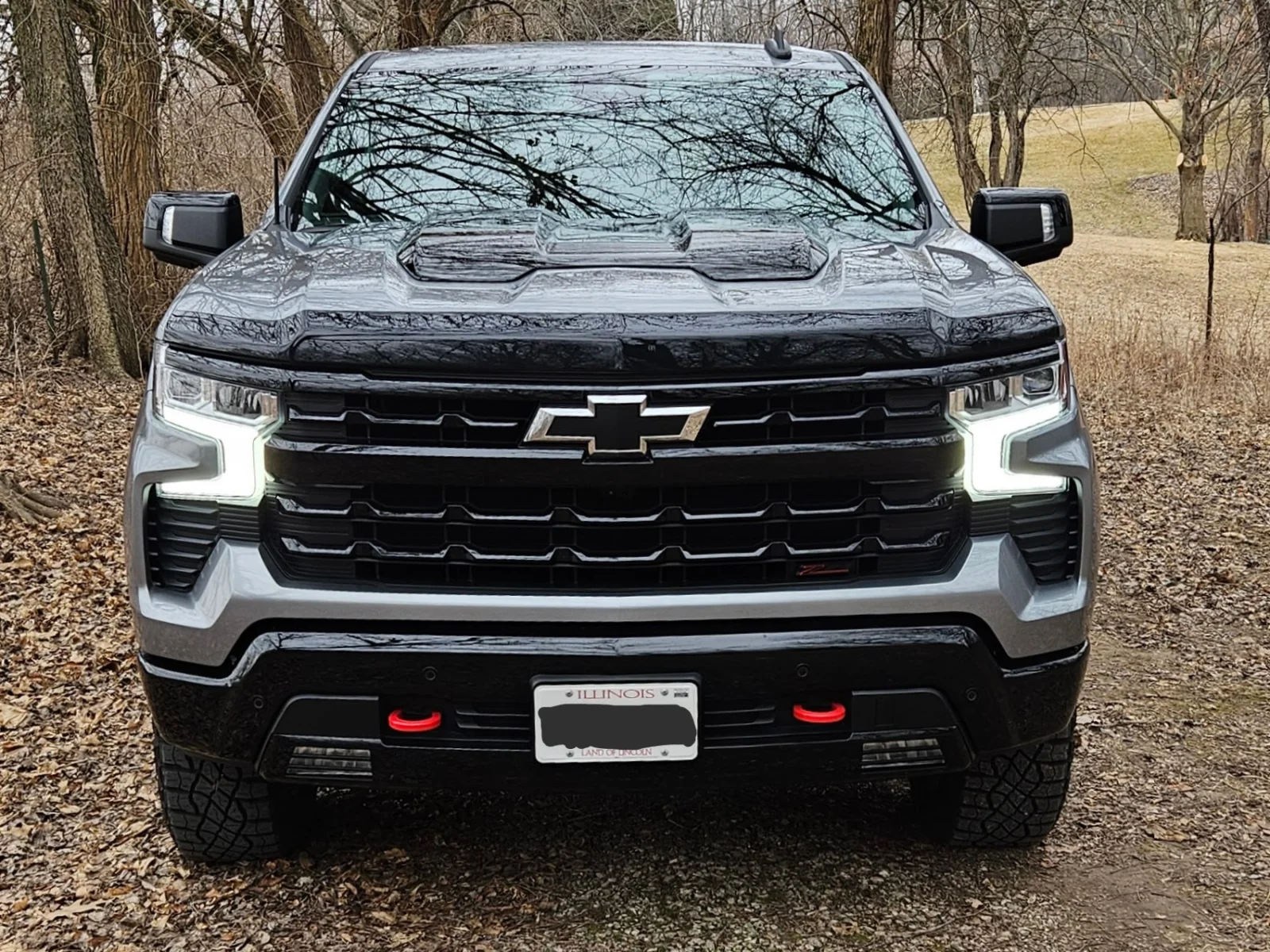 AVS Aeroskin (head on).webp