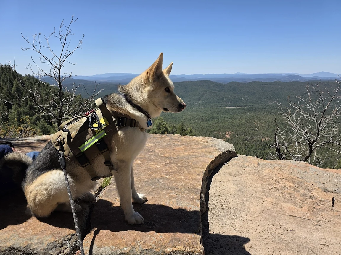 Mogollon Rim 1.webp | Chevy Trail Boss Forum