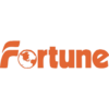 fortuneautoparts.com